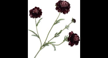 Silk-ka Kunstbloem-Zijden Bloemen Scabiosa Tak Paars 80 cm