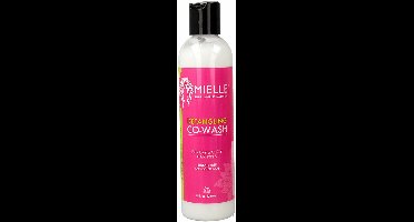 Conditioner Mielle Detangling Co-Wash (240 ml)