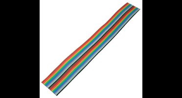 Flachkabel farbig Raster 1,27mm 20 pin 30,5m