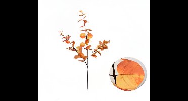 Buitengewoon de boet - Money leaf tak oranje 104 cm