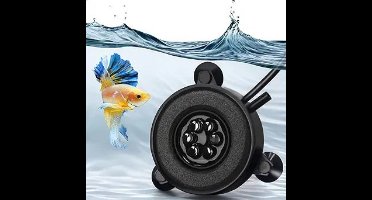 AC Multicolor LED Luchtsteen met Draadloze Bediening – Meest verkocht – Kleurrijke Aquarium Beluchting – Inclusief Afstandsbediening en Luchtslang