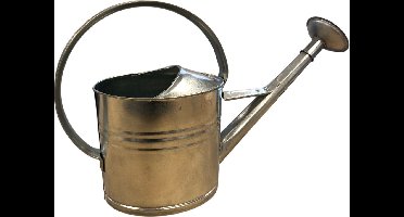 Dutchlander grote metalen verzinkte gieter met een inhoud van 10 liter en voorzien van broeskop.