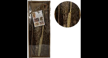 Droogbloemen cadeaudoos 4 delig 58 cm