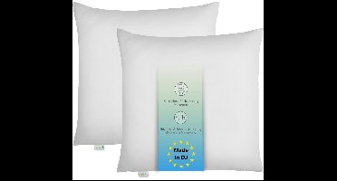 Bodyprotect ECOLine kussen 2 stuks 80 x 80 cm, set van 2 kussens, dubbelpak beddengoed van 100% microvezel, wasbaar, wit