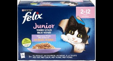 3x Felix in Gelei Junior (2-12m) Mix Selectie- Kattenvoer Natvoer - forel, Zalm ,Rund & Kip - 12x 85 g