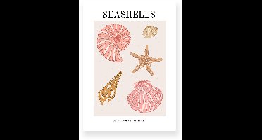 Poster 30x40 cm - Seashells - Strand - Roze - Bruin - Minimalistisch - Boho - Muurdecoratie - Wanddecoratie