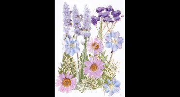 Geperste droogbloemen - Artemio