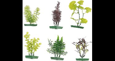 Flamingo - Aquarium plant assortiment - Willekeurig - 10 cm