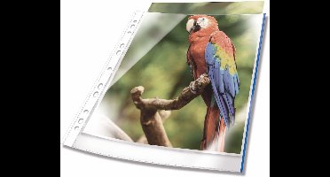 265406 - A4 - Blue - Transparent - Polypropylene (PP) - 230 mm - 0.08 mm - 305 mm