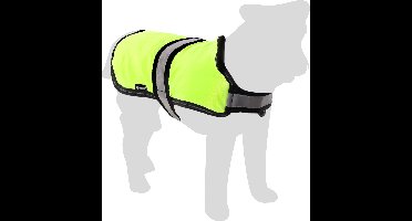 Flamingo Winterjas Eisbär voor Honden - Fluo Geel - Maat 45 cm (A: 45 cm, B: 41-45,5 cm, C: 54-63,5 cm) - Ideaal voor Jack Russell, Boston Terriër, King Charles en Teckel.