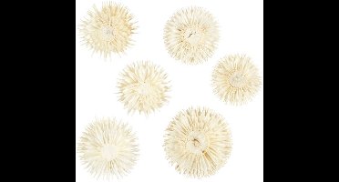 CC Gedroogde Bloemen Wit 6 stuks