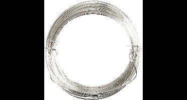 CC Verzilverd Metaaldraad 0,4 mm Zilver 20 m