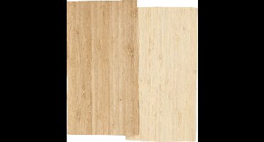 CC Bamboe Fineer 12x22x0,75 cm 2 vel