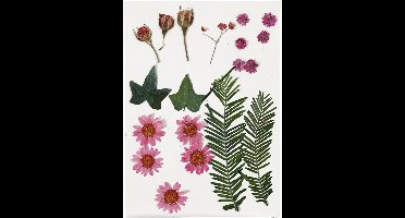 Creativ Company Gedroogde Bloemen en Bladeren 19 stuks Roze