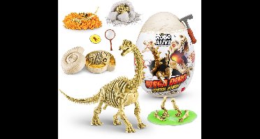 ZURU - Robo Alive - Mega Dino Fossil Find - Speelgoedrobot - Brontosaurs
