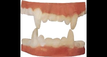 PartyXplosion - Gebit - Dracula - Latex