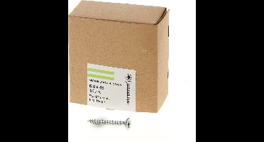 Hoenderdaal Spaanplaatschroef verzinkt platverzonken kop PZ3 voldraad 6.0X45 (per 100 stuks)