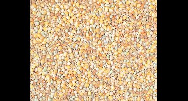 Natural Kweek Maxi Cribs 2m 25KG