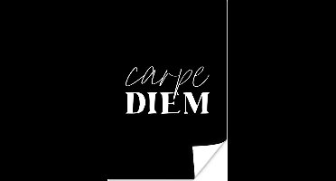 Poster Carpe diem Spreuken - Quotes - Pluk de dag - 20x30 cm - Vaderdag cadeau - Geschenk - Cadeautje voor hem - Tip - Mannen