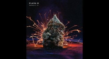 Flava D - Fabriclive 88 Flava D (CD)