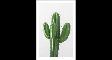 Walljar - Cactus - Muurdecoratie - Poster