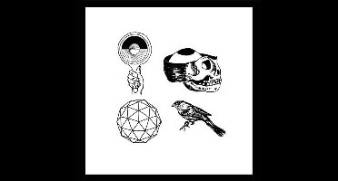 Woods - With Light And With Love (CD)