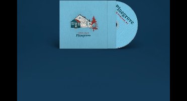 Pinegrove - Amperland, NY (CD)