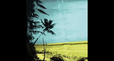 Papier Tigre - Recreation (LP)