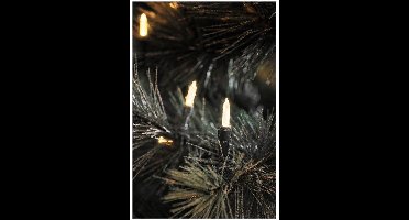 Konstsmide 6020 - Snoerverlichting - 80 lamps LED pizello - 1185 cm - 24V - voor buiten - warmwit