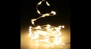 2x christmas decoration draadverlichting zilver- 66 leds wit -batterij-1m