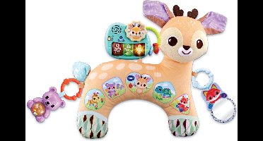 VTech Baby 80-560505, 0,25 jaar, Batterijen vereist, AAA, Stof/Weefsel, Meerkleurig