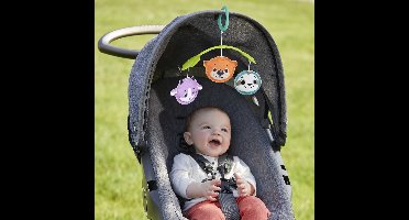 Fisher Price 3 In 1 mobiel voor baby's - Koala
