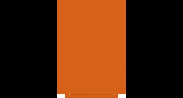 Rocada whiteboard - Skincolour - 55x75cm - oranje gelakt - RO-6419R-2008