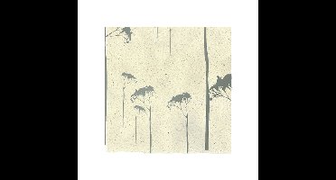 Kangaro toonbankrol - graspapier nature - 30 cm x 100 meter - 80 gram - K-711281-4-30