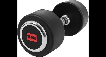 Gorilla Sports Dumbell - Vaste Halter - Gietijzer met Rubber coating - 12,5 kg