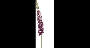 Emerald - Kunstbloem Eremurus XL 130cm paars - Kunstplant voor binnen