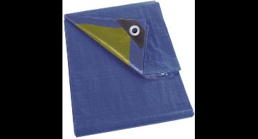 Perel Dekzeil, 10 ringen, versterkte hoeken, rechthoekig, blauw/groen, 70 g/m², 2 x 3 m