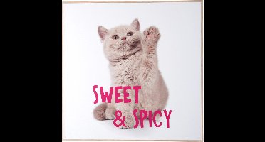 Present Time - Wall Art Kitten Sweet & Spicy - Multicolor