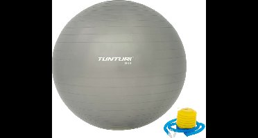 Tunturi Anti Burst Fitness bal met Pomp - Yoga bal 65 cm - Pilates bal - Zwangerschapsbal – 220 kg gebruikersgewicht - Incl Trainingsapp – Zilver