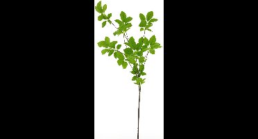Spring leaf spray green 128 cm