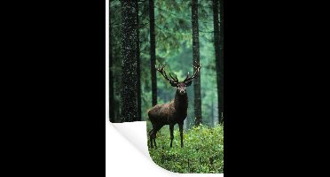 Muurstickers - Sticker Folie - Hert - Bos - Bomen - Dieren - Natuur - 20x30 cm - Plakfolie - Muurstickers Kinderkamer - Zelfklevend Behang - Zelfklevend behangpapier - Stickerfolie