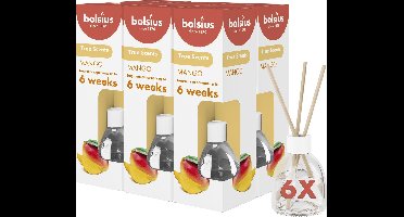 Bolsius True Scents - Geurstokjes - Mango - 6 stuks - Voordeelverpakking - 60ml