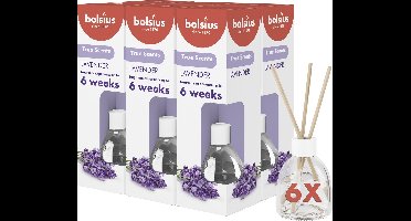 Bolsius True Scents - Geurstokjes - Lavendel - 6 stuks - Voordeelverpakking - 60ml