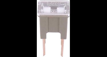 FLM pal zekering 70 amp 1 stuk