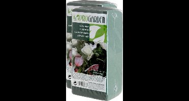 Steekschuim/oase - nat - 20 x 10 x 7 cm - groen - 2x stuks