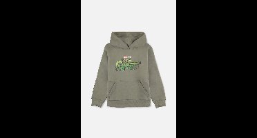 Marvel Guardians Of The Galaxy - I Am Groot Kinder hoodie/trui - Kids 110/116 - Groen