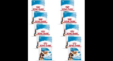 Royal Canin Maxi Natvoer - Puppy-Hondenvoer - 8 x 10x140 g