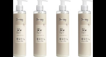 Derma Eco Vloeibare Handzeep - Hypoallergeen - Parfumvrij - Zacht voor Gevoelige Huid - Hypoallergeen - 4 x 250 ml