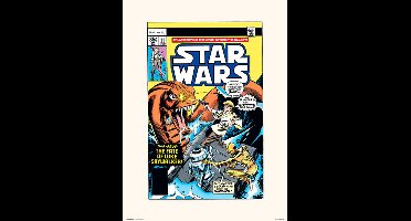 STAR WARS 11 STAR SEARCH - Art Print 30x40 cm
