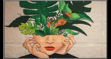 Monitor Videowall Philips 75BDL4511D/00 LFD 75"